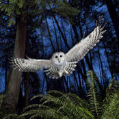 Lauren Talbot's photo