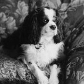 Sandra Low's photo