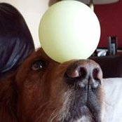 Sharon Chambers-Basehore's photo