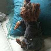 Foto de Chloe Steil
