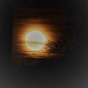 Nancy Valle Cortez's photo
