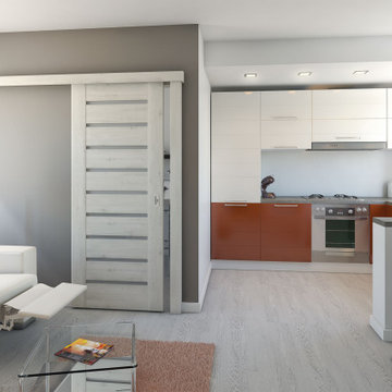 Glenview Haus Eco Veneer Modern Interior Doors Gallery Project | DBEV-CNT-A