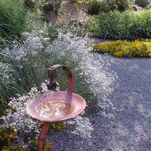 Landscape 109 Wildwood