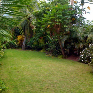 Overlooking Kealakekua Bay