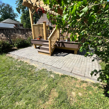 Backyard Update
