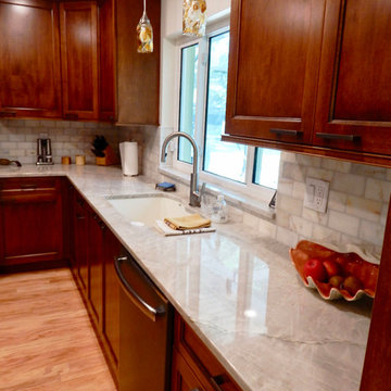 Kitchen Remodel for our Client located in Dunedin