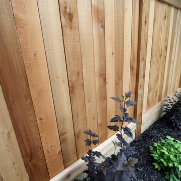 Kelvin Grove Backyard
