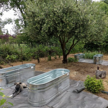 Galvanized Tank Raised Beds & Landscaping