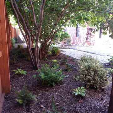 Backyard Overhaul