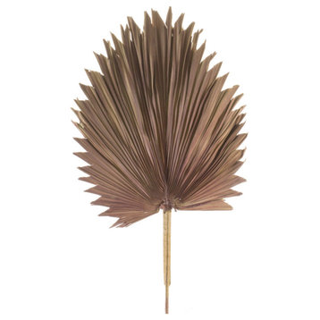 Fan Palm Leaf, 6-Piece Set