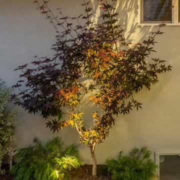 Culver City Residential Retreat