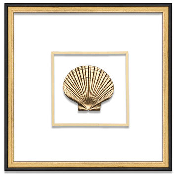 Scallop Suspended Between Glass With A Decorative French Line, Gold