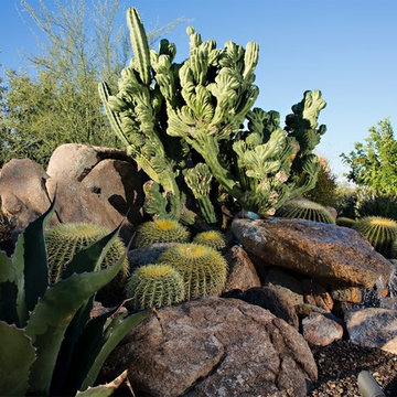 Everyday Escape - Phoenix Home & Garden