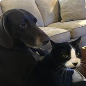 Debi Haas-Harmon's photo