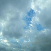 Cyndee McDougal's photo