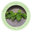 Front Stoop Gardens, LLC