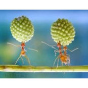 Edna Lee's photo