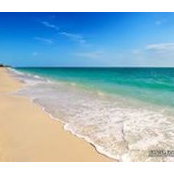 Wendy Stone's photo