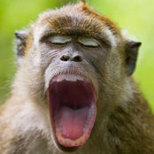 Roy Berg's photo
