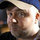 Dave Patey