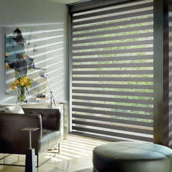 Designer Banded Shades - Roller Shades