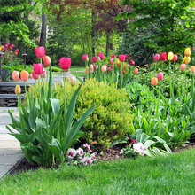 Lake House Landscaping