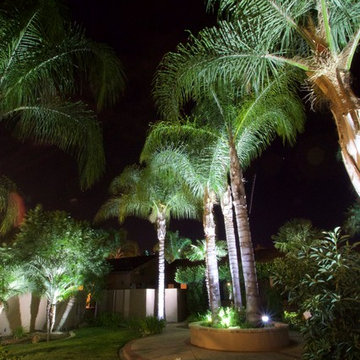 Sprawling Avacado and Palm Tree farm in Somis, California