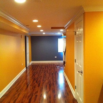 Chicago Suburbs basement