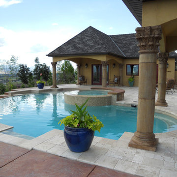 Pool and Spa with Guest House