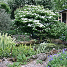 Lovely Gardens