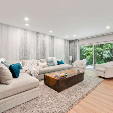Contemporary Home Remodel in Reston