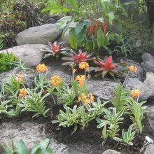leanne_peterson12's Ideas