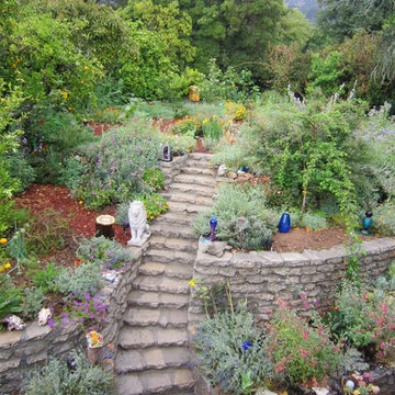 Water harvesting xer