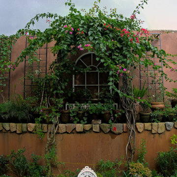 Backyard - Margondanahalli, Electronic city