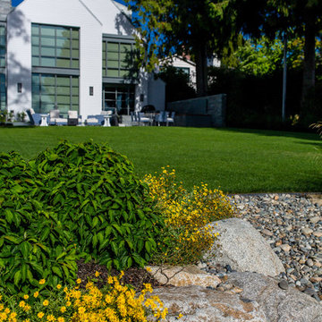 Waterfront Restoration, Madison Park