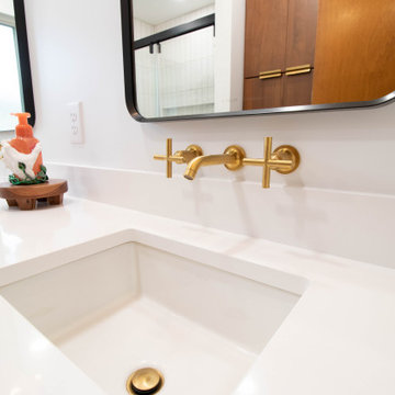 Okemos Master Bathroom Remodel