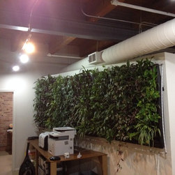 Omni Living Wall - Products