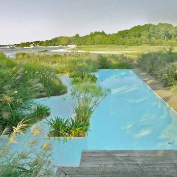 Long Island New York freeform pool