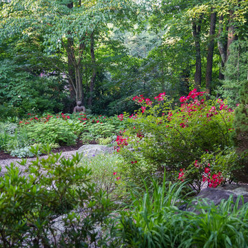 A view from the woodland into the garden proper
