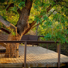 Deck around tree