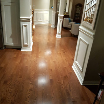 Our Work