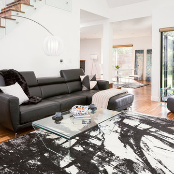 Contemporary Living Room