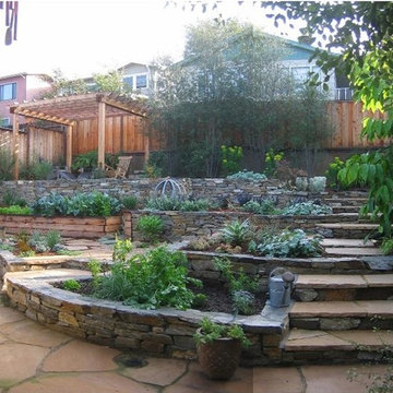 Overall terraced view