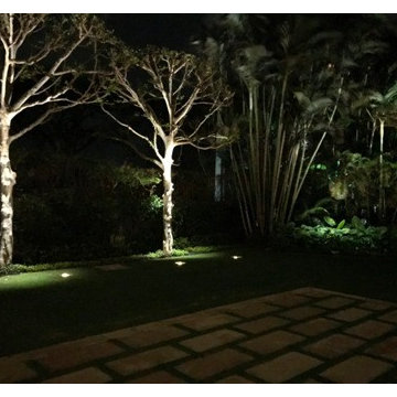 Landscape Lighting