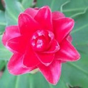 Deborah Walin's photo