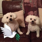 Patsy Free's photo