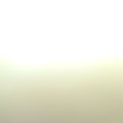 Nour Jadullah's photo