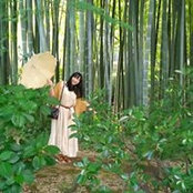 Foto von Rei Watanabe