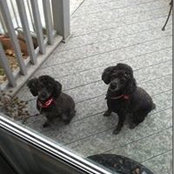 Evelyn Taft's photo