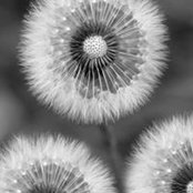 Photo de Jennifer M Kenefick